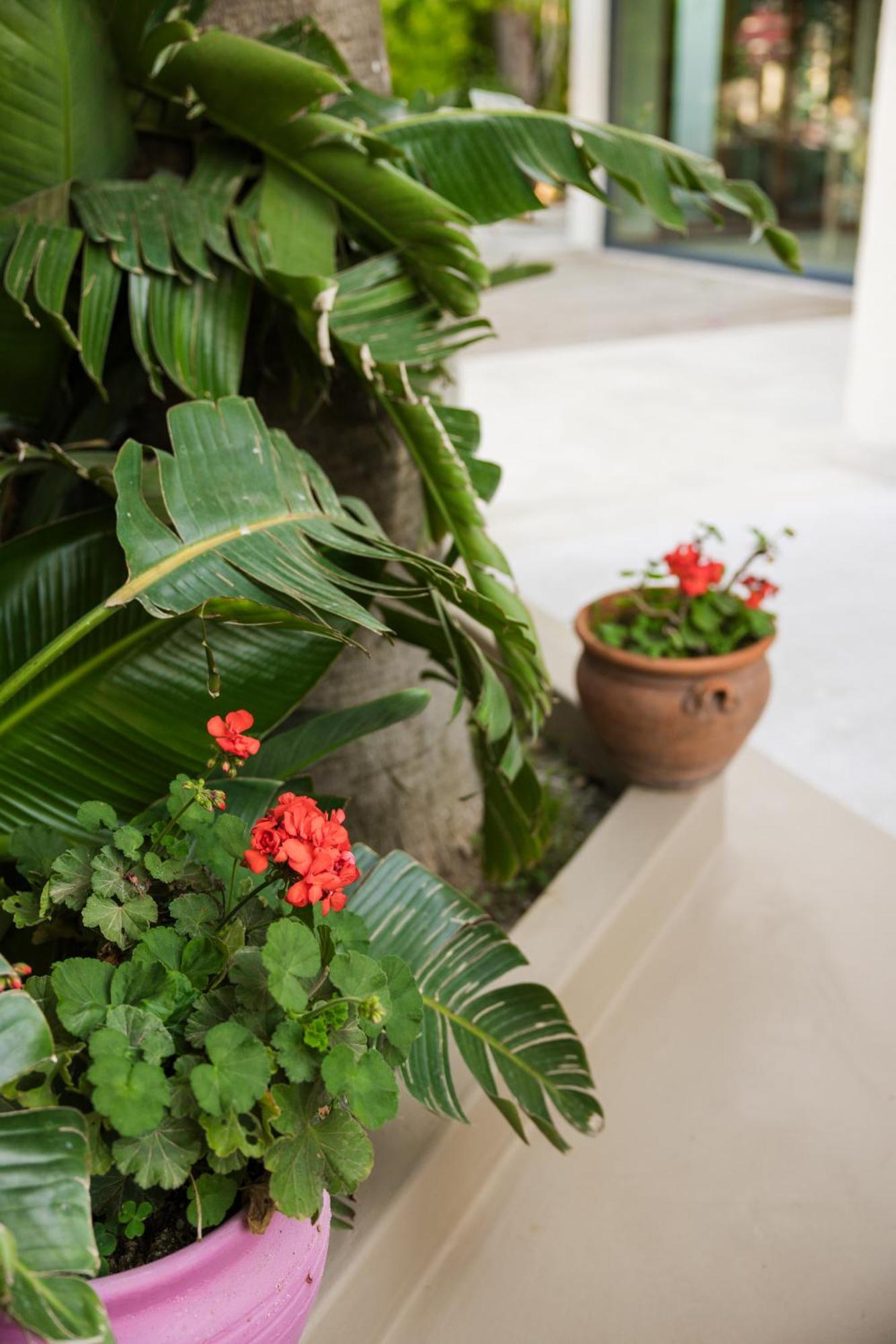 Bitez Corner Boutique Hotel Exterior foto